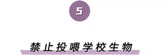 亚博体育官网- 卡利亚里对战尤文图斯 